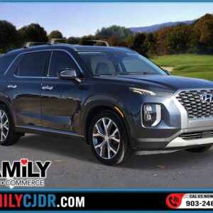 2020 Hyundai Palisade  SEL